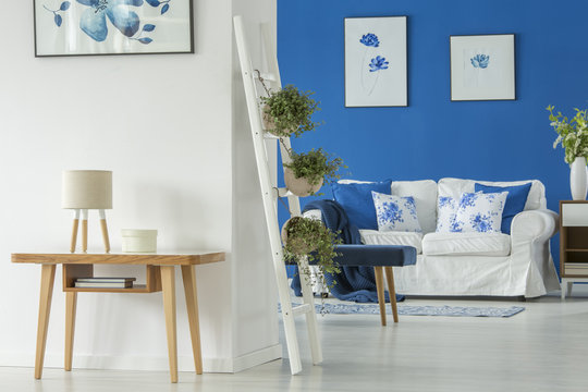 White-and-blue interior with plants