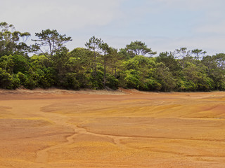 Fototapeta na wymiar Barreiro da Faneca, Red Desert, Santa Maria Island, Azores, Portugal
