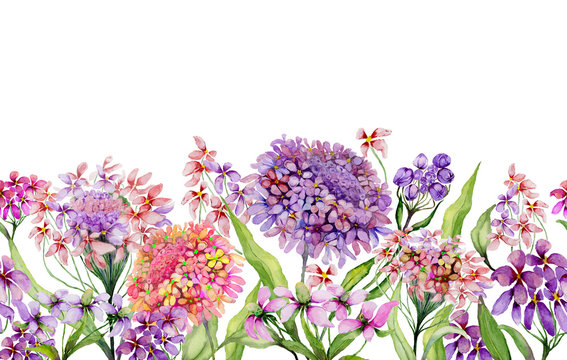 Colorful summer wide banner. Beautiful vivid iberis flowers with green leaves on white background. Horizontal template. Seamless panoramic floral pattern. Watercolor painting.