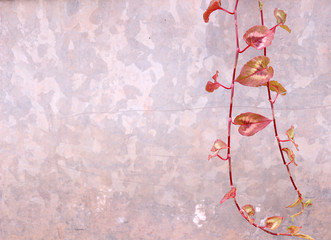 Background with trailing pink foliage