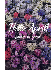Hello, april!