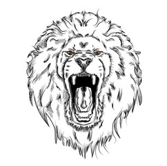 Portrait of a lion. Can be used for printing on T-shirts, flyers and stuff. Vector illustration