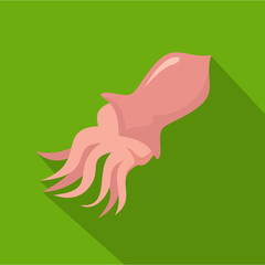Squid icon. Flat illustration of squid vector icon for web