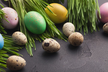 Colorful easter eggs in green grass on gray background