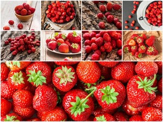 Collage of mixed red strawberry berries. concept