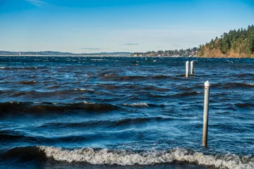 Fototapeten Mehr Wind Across Lake Washington 4  © George Cole