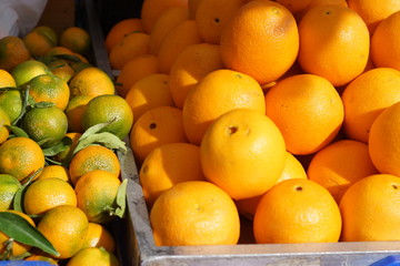 Mandarins and oranges on the counter in the market