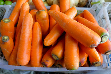Fresh carrot in the grocery store