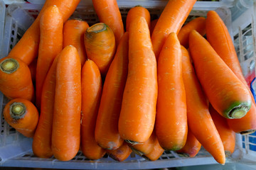 Fresh carrot in the grocery store