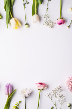 Flowers on a white background. Flat lay. Copy space.