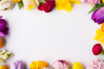 Flowers on a white background. Flat lay. Copy space.