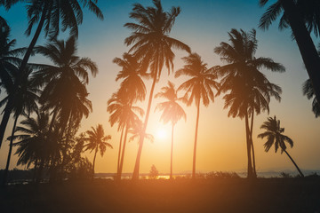 Fototapeta na wymiar Silhouette coconut palm trees on beach at sunset. Vintage tone.