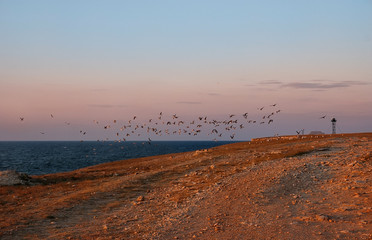 Sunset on the peninsula of Tarhankut