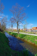 Lotissement récent et moderne dans la verdure et la nature verte