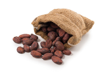 Cocoa fruit, raw cacao beans isolated on a white background