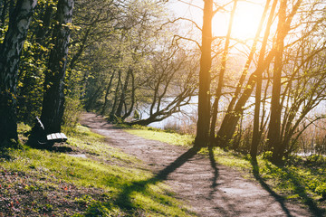 Obraz premium City park in spring time. Walk path and an bank near pond. Sun rays coming through tree branches