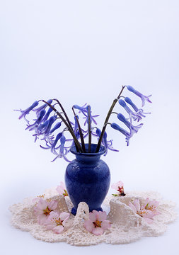 hyacinths and coffee