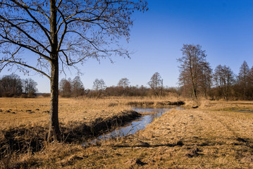 Przedwiośnie w Dolinie Narwi