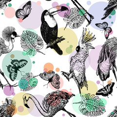 Seamless pattern of hand drawn sketch style exotic birds, plants and butterflies isolated on white background. Vector illustration. © Ecaterina Sciuchina