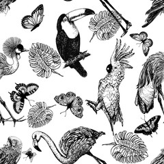 Seamless pattern of hand drawn sketch style exotic birds, plants and butterflies isolated on white background. Vector illustration. © Ecaterina Sciuchina