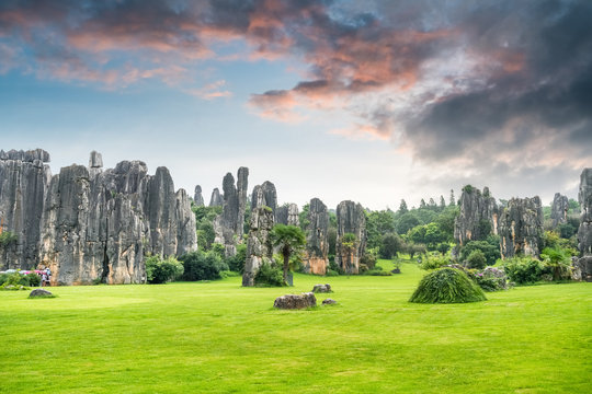 Yunnan Stone Forest Scenic