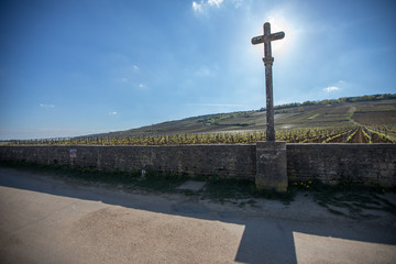 Vineyards in Burgundy, France. A World Heritage