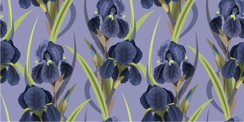 Seamless floral pattern with irises. Violet irises on a lilac background. Vector illustration . Background for textile, manufacturing, book covers, wallpapers, print or gift wrap. Vector illustration.