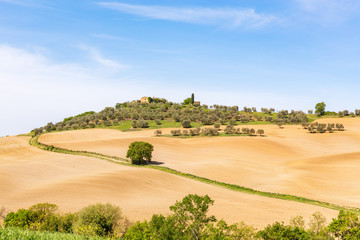 Fototapeta na wymiar Farm road in a new sown field with a olive farm on a hill