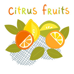 Citrus fruits, cartoon illustration