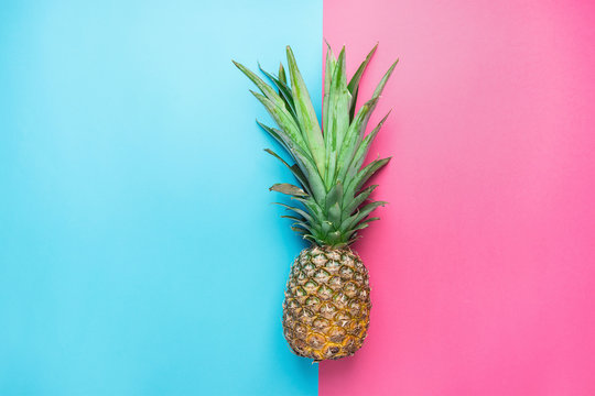 Ripe Pineapple with Bushy Green Leaves on Split Duotone Pink Blue Background. Summer Vacation Travel Tropical Fruits Vitamins Fashion Concept. Flat Lay Copy Space