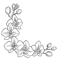 vector contour orchid flower bouquet  symbol coloring page half frame