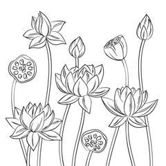 vector contour lotus flower bouquet set  meditation symbol coloring page
