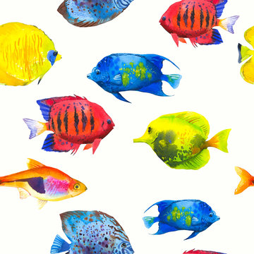 Seamless pattern with tropical fish. Watercolor illustration with hand drawn aquarium exotic fish on white background.