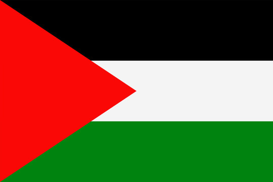 Palestine Flag Vector Flat Icon
