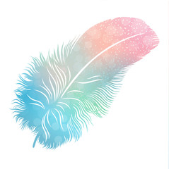 colored feather