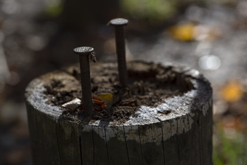 Nägel