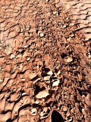 Southwestern creek ripple pattern