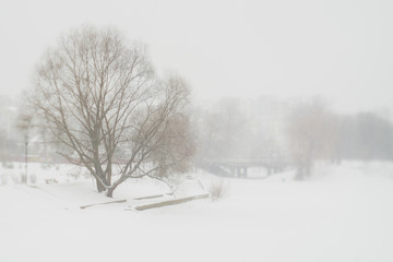 Winter misty landscape with bare trees and frozen river. Beautiful nature background. Wintertime. Tilt adapter. Horizontal color photography with copyspace.