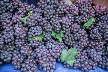 Grape, Red Grape, Fruit, Berry Fruit, Food