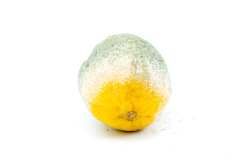 Rotten Lemon Fruit on White Background