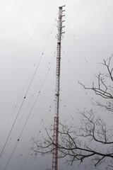 Antena