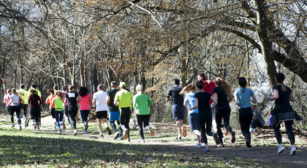 Marathon race  at spring