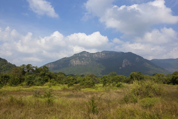 Fototapeta na wymiar central sri lanka mountain landscape