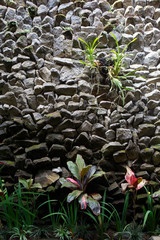 Stone & Rocky Wall with Grass and Flower
