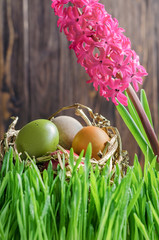 Colorful easter eggs in the nest in grass in front of wooden fence