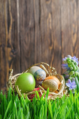 Colorful easter eggs in the nest in grass in front of wooden fence