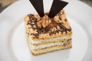 Walnut and chocolate cake on white plate