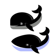 Whale Icons Isolated