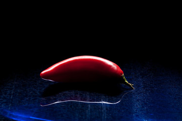 red chilli pepper on dark shinny blue background © stevechatterton