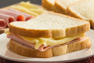 Cheese and Ham Sandwich